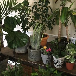 Meet your Posher, Jessie